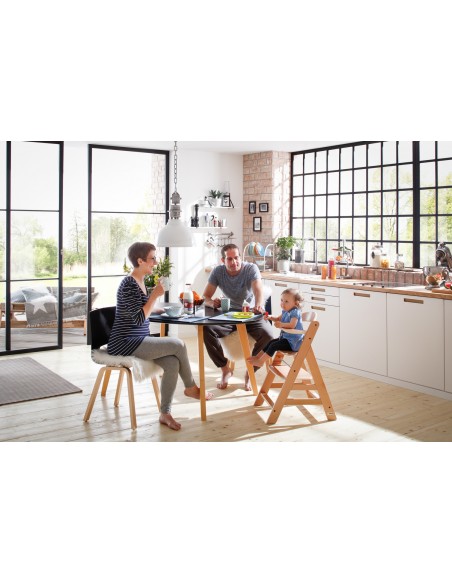 Hauck krzesełko Alpha+ Black Krzesełka do karmienia