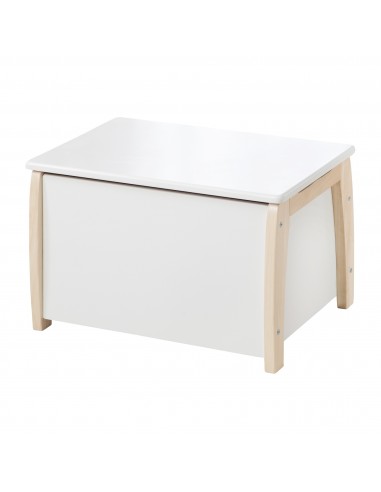 roba skrzynia na zabawki W domu