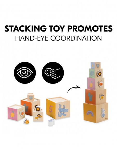 hauck sorter Stack N Raise Zabawki