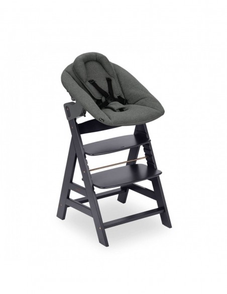 hauck zestaw krzesełko z leżaczkiem Alpha Plus Dark Grey W domu