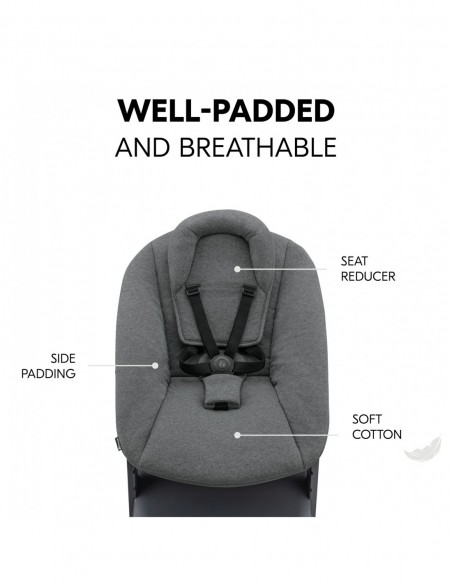 hauck zestaw krzesełko z leżaczkiem Alpha Plus Dark Grey W domu