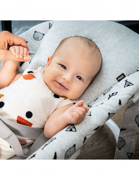 hauck leżaczek Alpha Premium Nordic Grey Krzesełka do karmienia