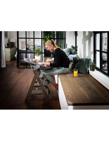 hauck leżaczek Alpha Premium Nordic Grey Krzesełka do karmienia